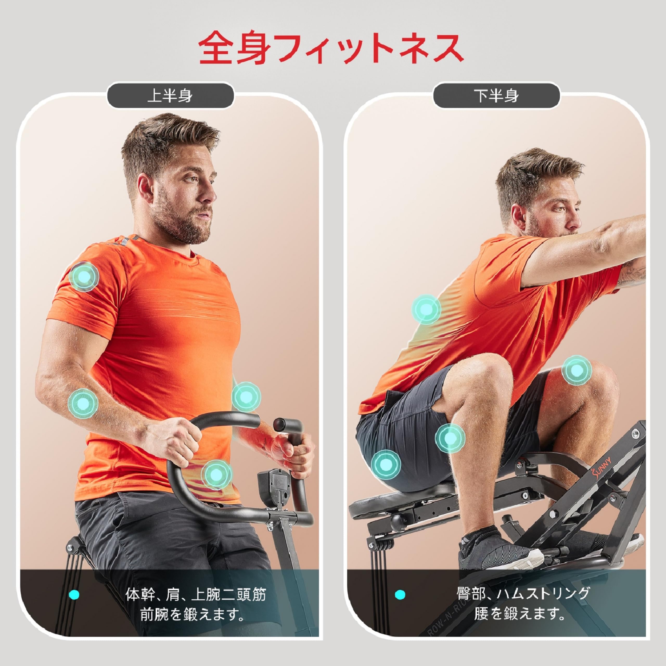Amazon | Sunny Health & Fitness (サニーヘルス&フィットネス) Row-N